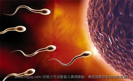 河南三代代孕费用揭秘：哪些因素在影响你的花费？