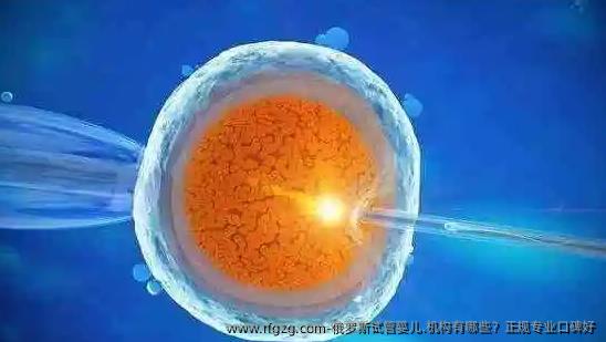 俄罗斯代孕.机构有哪些？正规专业口碑好
