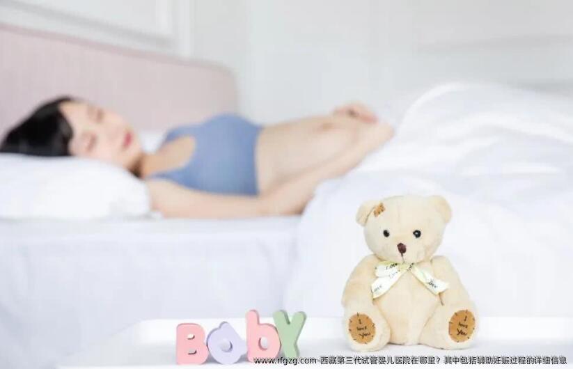 西藏第三代代孕医院在哪里？其中包括辅助妊娠过程的详细信息