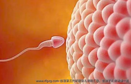 香港第三代代孕费用汇总，生孩子花费明细一览