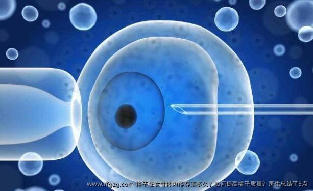 精子在女性体内能存活多久？如何提高精子质量？医生总结了5点