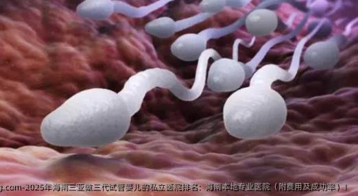 2025年海南三亚做三代代孕的私立医院排名：海南本地专业医院（附费用及成功率）！