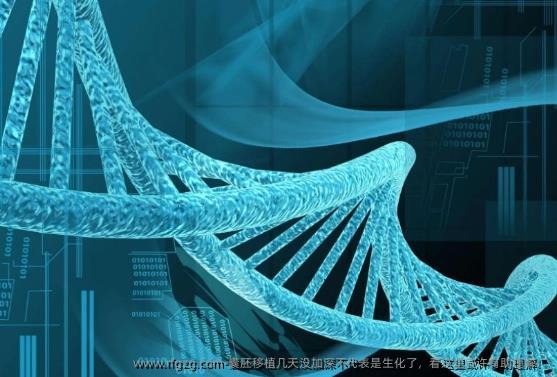 囊胚移植几天没加深不代表是生化了，看这里或许有助理解！