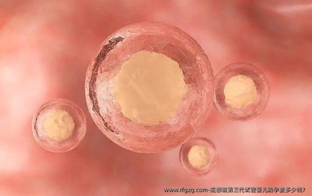 成都做第三代代孕助孕要多少钱？
