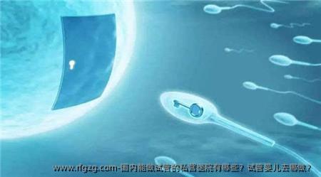 国内能做试管的私营医院有哪些？代孕去哪做？