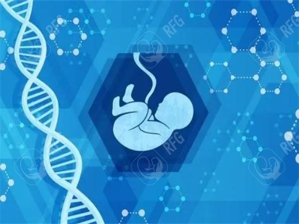 实时更新：宁夏三代代孕全套费用清单！