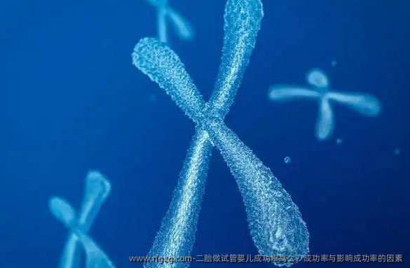 二胎做代孕成功率高么？成功率与影响成功率的因素