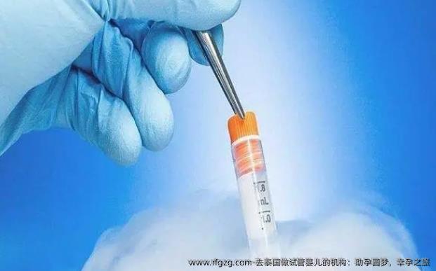 去泰国做代孕的机构：助孕圆梦，幸孕之旅