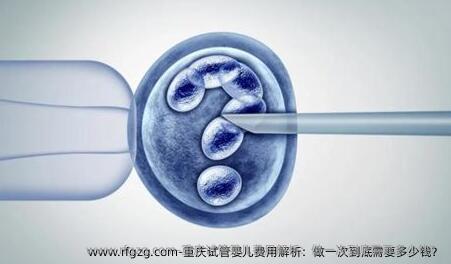 重庆代孕费用解析：做一次到底需要多少钱？