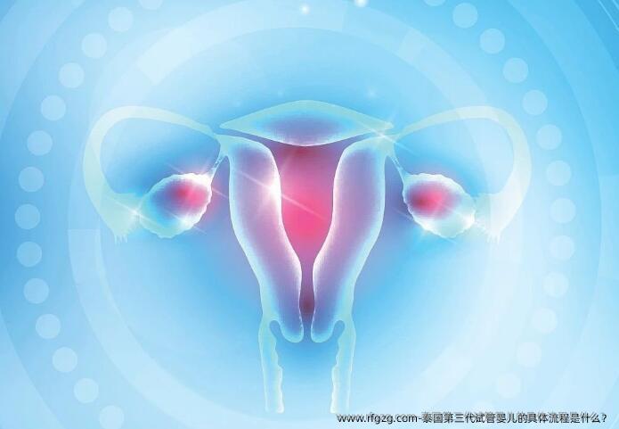 泰国第三代代孕的具体流程是什么？
