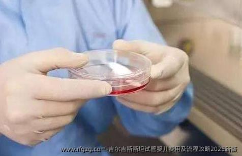 吉尔吉斯斯坦代孕费用及流程攻略2025新版