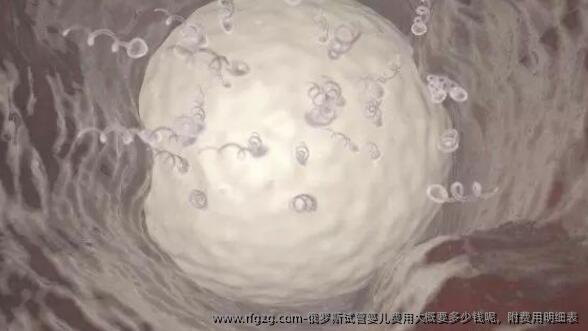 俄罗斯代孕费用大概要多少钱呢，附费用明细表