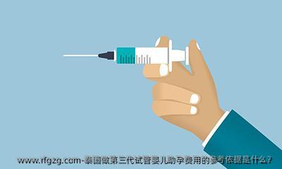 泰国做第三代代孕助孕费用的参考依据是什么？