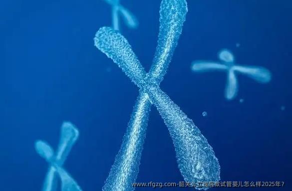 韶关公立医院做代孕怎么样2025年？