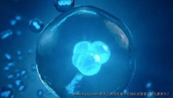 郑大三附院生殖中心排队代孕婴儿要多久？
