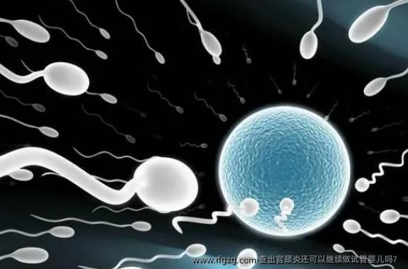 查出宫颈炎还可以继续做代孕吗？