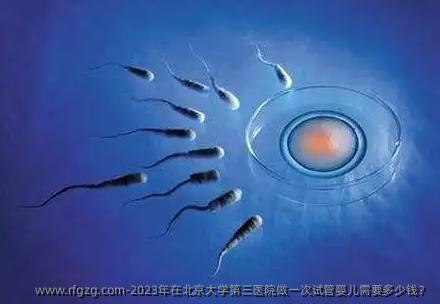 2023年在北京大学第三医院做一次代孕需要多少钱？