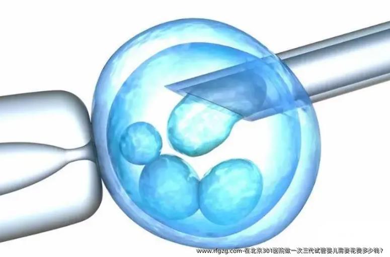 在北京301医院做一次三代代孕需要花费多少钱？