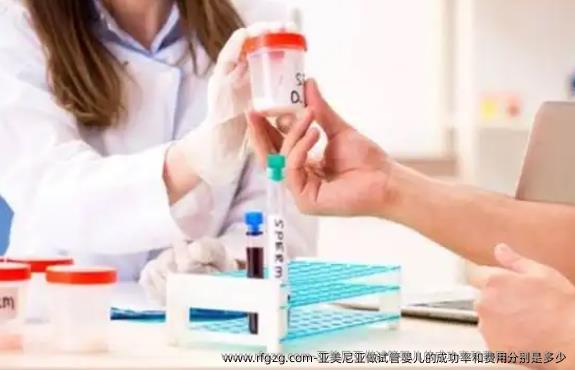 亚美尼亚做代孕的成功率和费用分别是多少