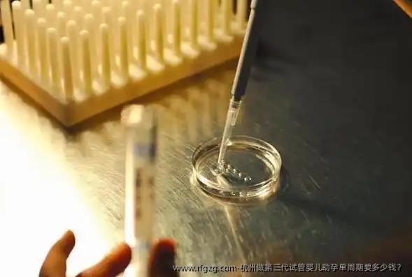 杭州做第三代代孕助孕单周期要多少钱？