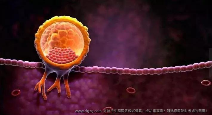 杰特宁生殖医院做代孕成功率高吗？附选择医院时考虑的因素！