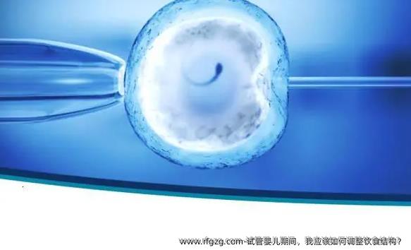 代孕期间，我应该如何调整饮食结构？
