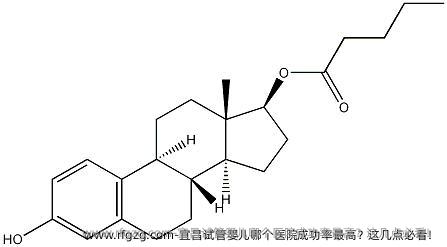 宜昌代孕哪个医院成功率最高？这几点必看！