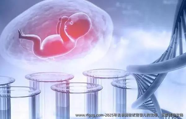 2025年去泰国做代孕的流程，完整详细攻略
