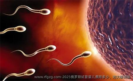 2025俄罗斯代孕费用多少，附大概明细
