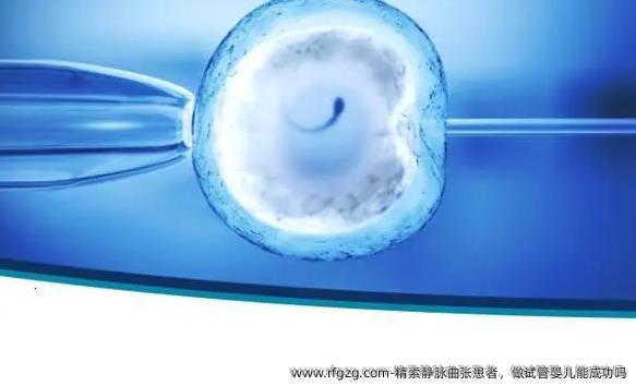 精索静脉曲张患者，做代孕能成功吗