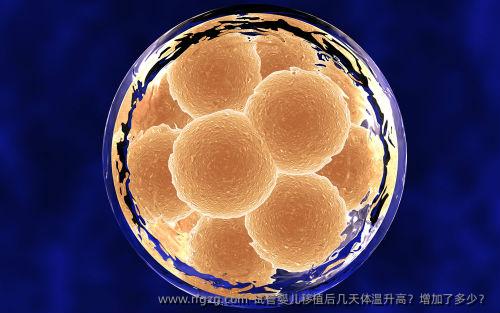 代孕移植后几天体温升高？增加了多少？