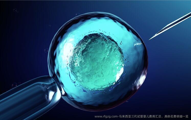 马来西亚三代代孕费用汇总，具体花费明细一览