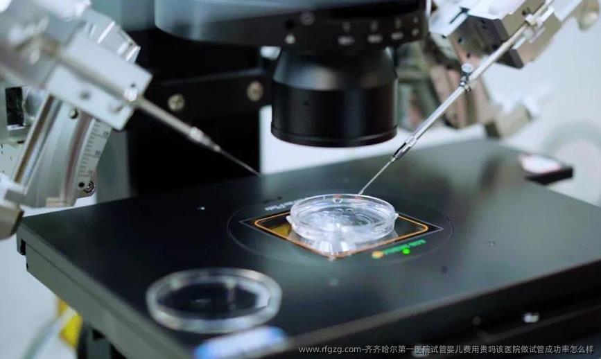 齐齐哈尔第一医院代孕费用贵吗该医院做试管成功率怎么样