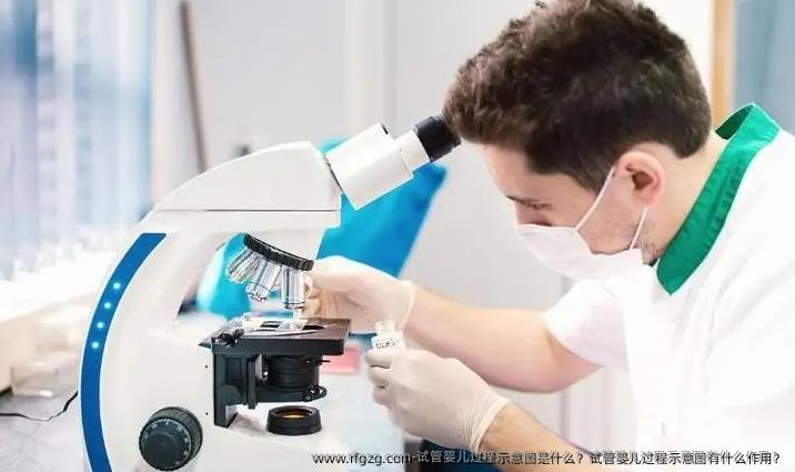 代孕过程示意图是什么？代孕过程示意图有什么作用？