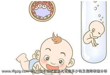 2025日本做代孕花费多少钱及费用明细分析