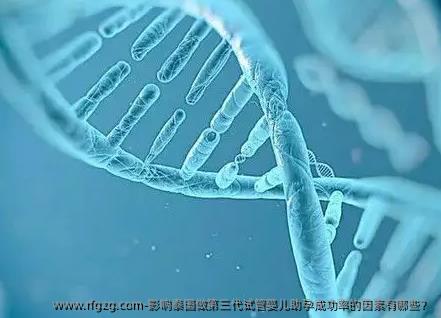 影响泰国做第三代代孕助孕成功率的因素有哪些？