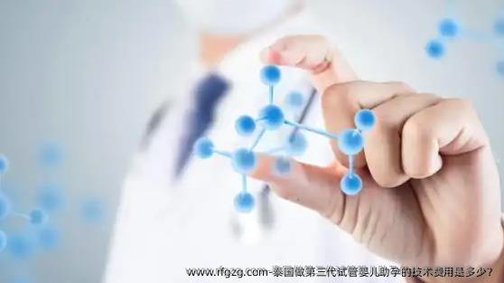 泰国做第三代代孕助孕的技术费用是多少？