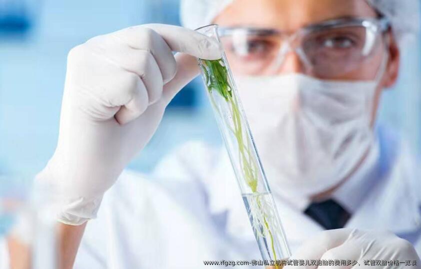 佛山私立机构代孕双胞胎的费用多少，试管双胎价格一览表