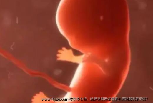 成功率分析，哈萨克斯坦代孕医院哪家更可信？ 