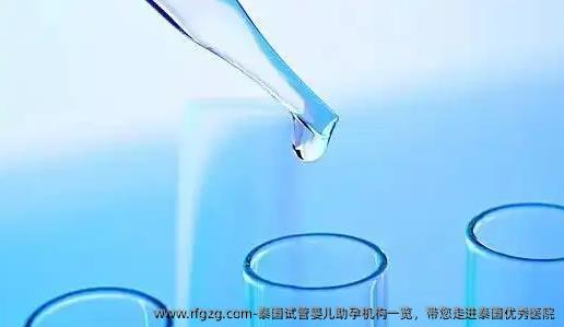泰国代孕助孕机构一览，带您走进泰国优秀医院
