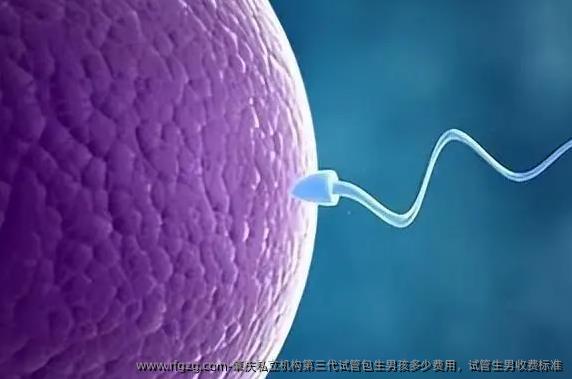 肇庆私立机构第三代试管优生孩子孩多少费用，试管生孩子收费标准