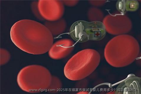2025年在临夏市做代孕费用多少？成功率如何？