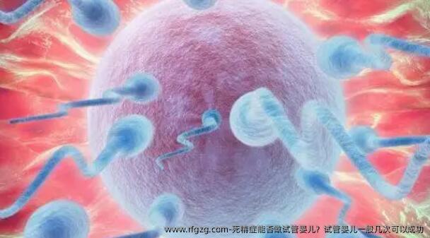 死精症能否做代孕？代孕一般几次可以成功